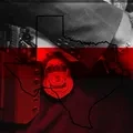 ICE's Proposed Privatized Detainee Transportation System in Texas: A Critical Analysis
